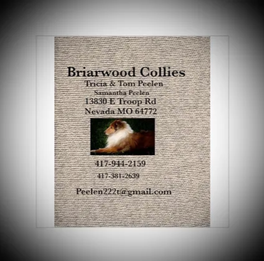 Briarwood Collies