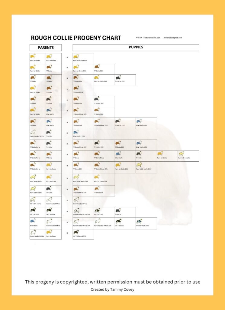 Briarwood Collies progeny coat color chart