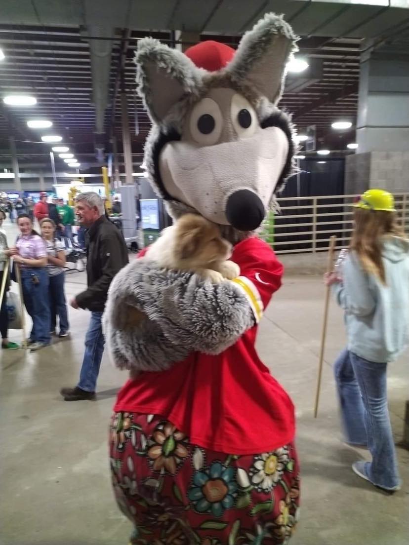 KC Wolfe and collie puppy at Kansas City Farm Show